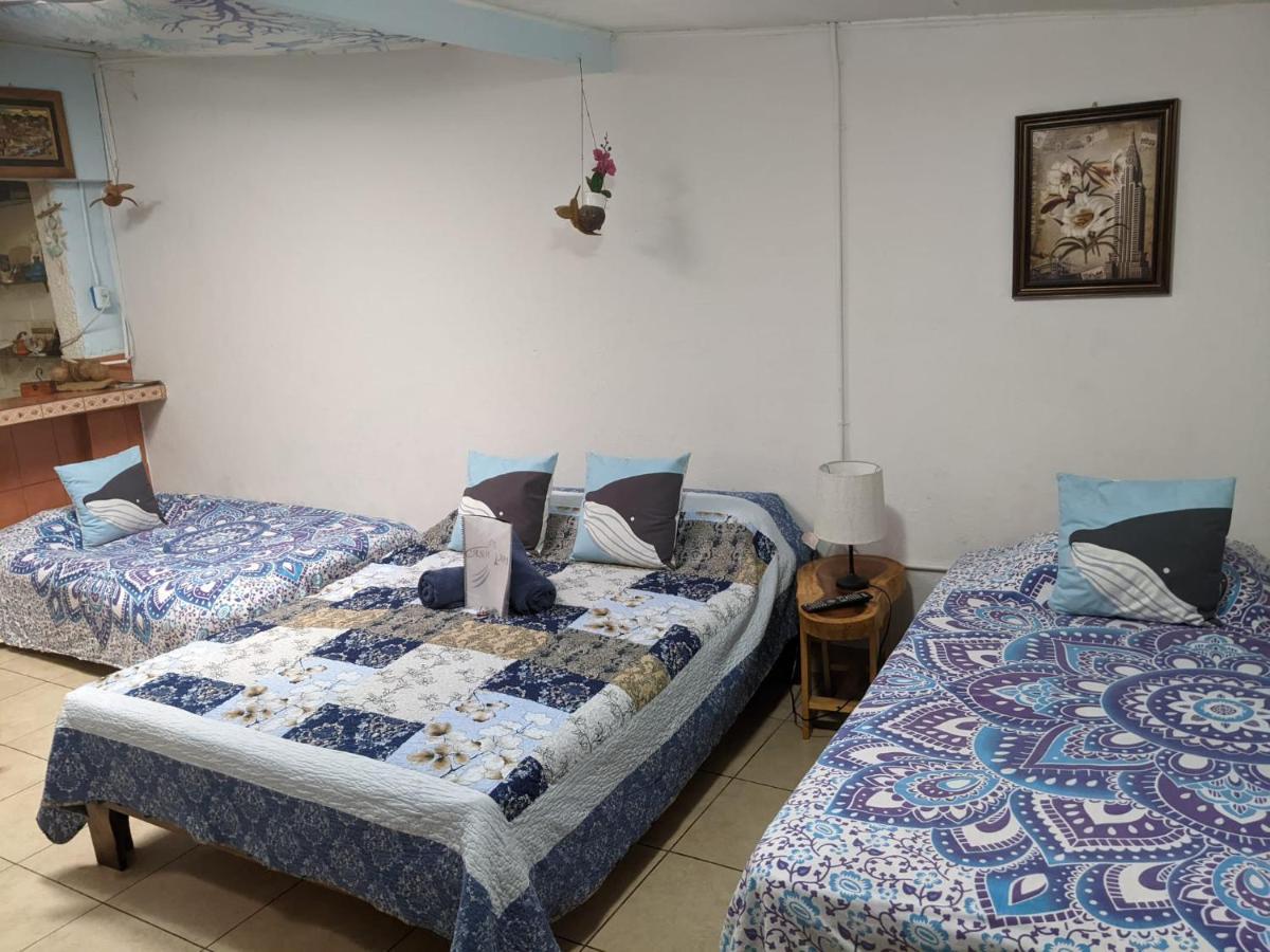 Guesthouse Casa Lapa 알라후엘라 외부 사진